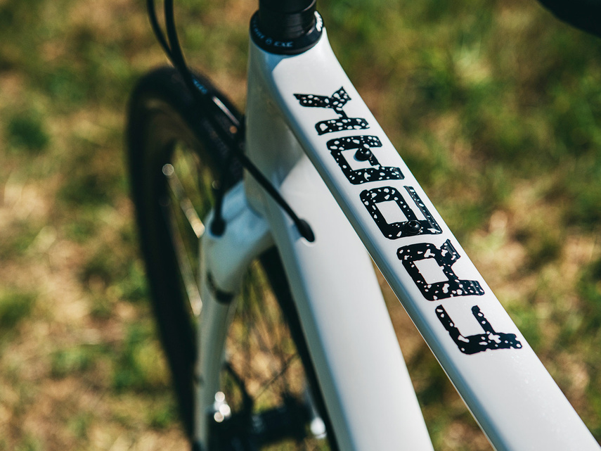 Rower gravel ACCENT FREAK CARBON APEX biały