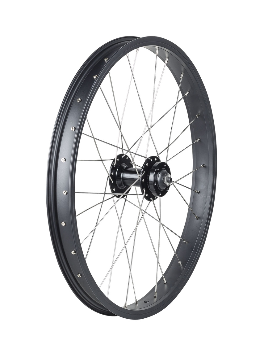 Trek Roscoe Boost 20˝ MTB Wheel