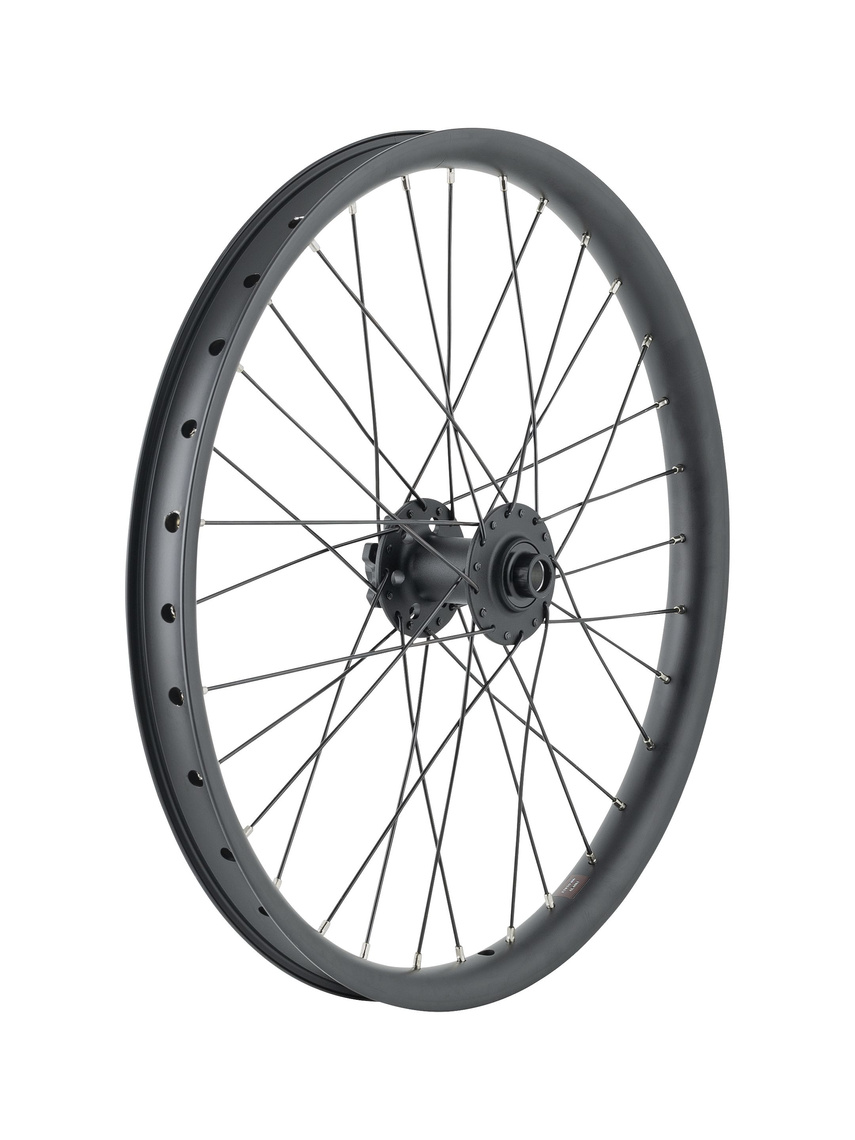 Trek Cargo Bike 6-Bolt Disc 20˝ Wheel