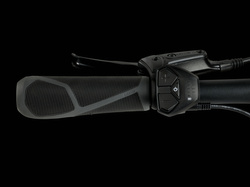 Rower Trek Verve+ 1 LT o niskim przekroku