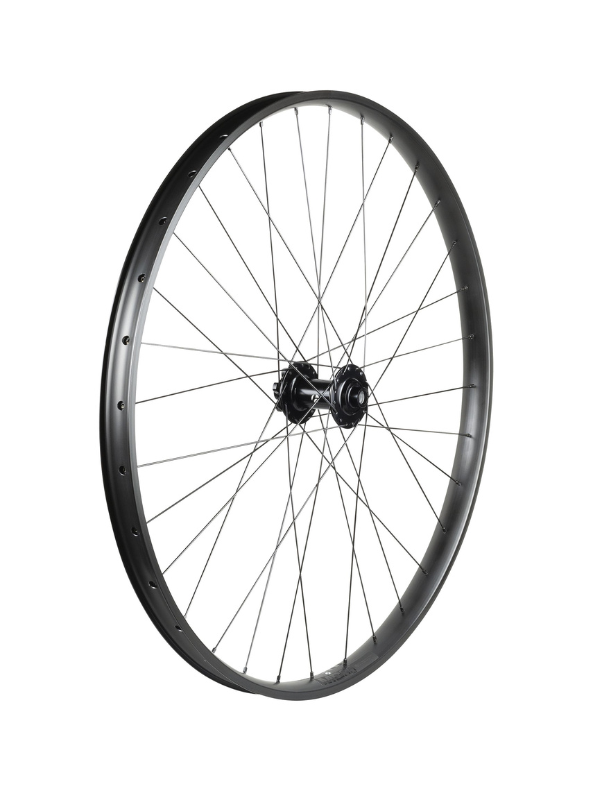 Trek Alex MD35 Boost 29˝ MTB Wheel