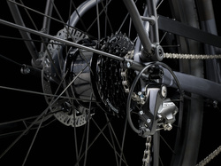 Rower Trek Verve+ 1 LT o niskim przekroku