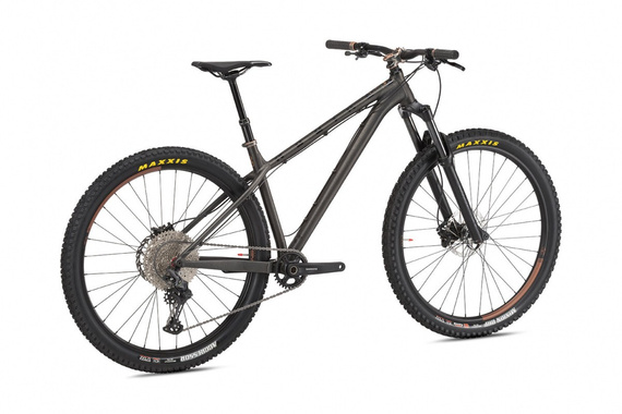 Rower NS Bike Eccentric Alu 29"