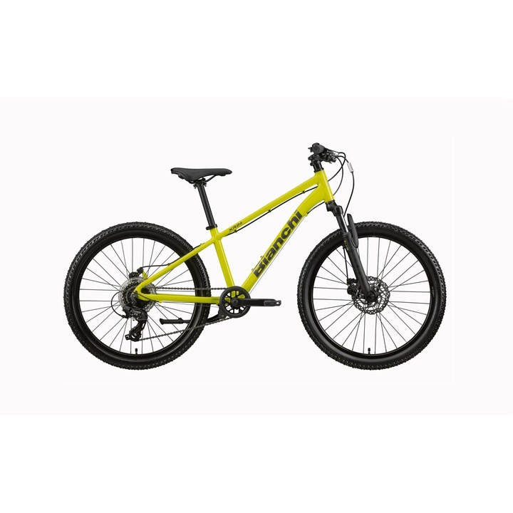 Rower Bianchi  24'' XR24 330H XX   Carina / Silver Glossy