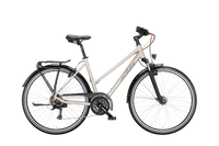 silver rose matt (elderberry).