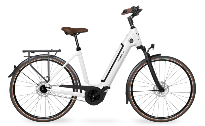 Rower Velo de Ville AEB 290 PRO  ID: V25-D2-2A89CD44